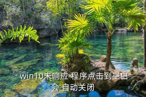  win10未響應(yīng) 程序點(diǎn)擊到空白會(huì) 自動(dòng)關(guān)閉