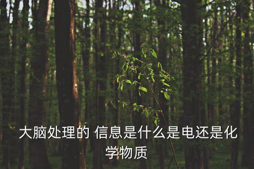 大腦自動處理信息,心理學研究:人腦具有超大規(guī)模信息處理系統(tǒng)