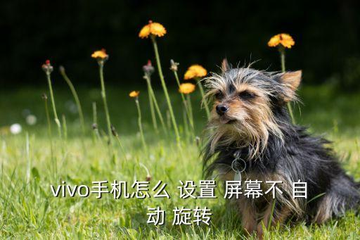 vivo手機(jī)怎么 設(shè)置 屏幕不 自動(dòng) 旋轉(zhuǎn)
