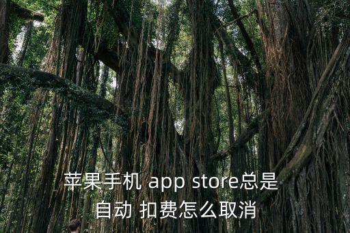 蘋果手機(jī) app store總是 自動(dòng) 扣費(fèi)怎么取消