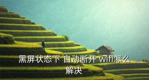 手機(jī)自動(dòng)斷wifi,手機(jī)設(shè)置系統(tǒng)升級(jí)檢測(cè)更新手機(jī)系統(tǒng)