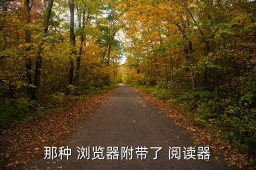 那種 瀏覽器附帶了 閱讀器