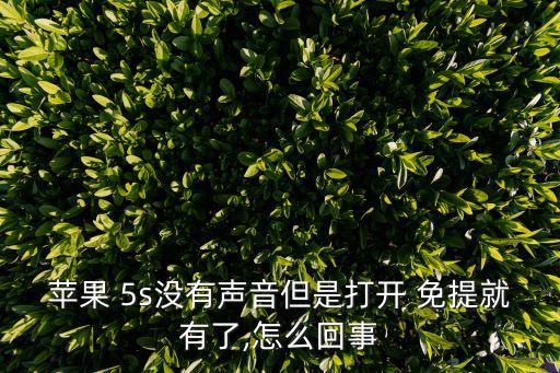 蘋果 5s沒有聲音但是打開 免提就有了,怎么回事