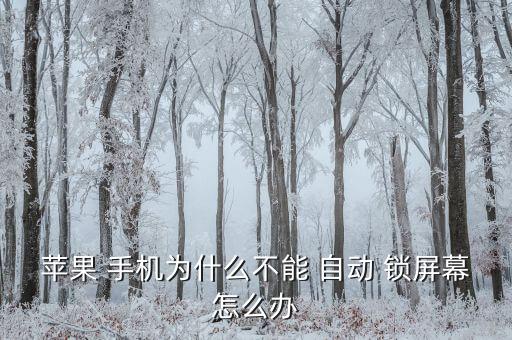 蘋果 手機(jī)為什么不能 自動(dòng) 鎖屏幕怎么辦