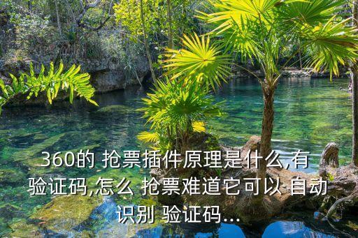 360的 搶票插件原理是什么,有 驗證碼,怎么 搶票難道它可以 自動識別 驗證碼...