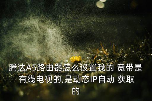 甘肅有線電視寬帶能自動(dòng)獲取ip嗎,電視如何連接到網(wǎng)絡(luò)電視