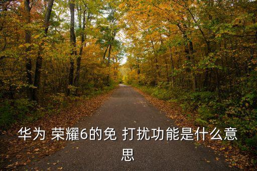華為 榮耀6的免 打擾功能是什么意思