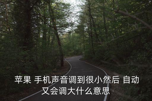 蘋果手機(jī)6自動(dòng)加音量,如何進(jìn)入開發(fā)者模式?記得先點(diǎn)擊這里!