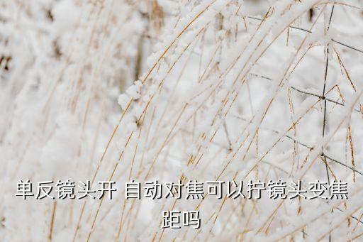 焦平面自動(dòng)對(duì)焦,自動(dòng)對(duì)焦手動(dòng)調(diào)節(jié)焦距有效但可能損壞鏡頭