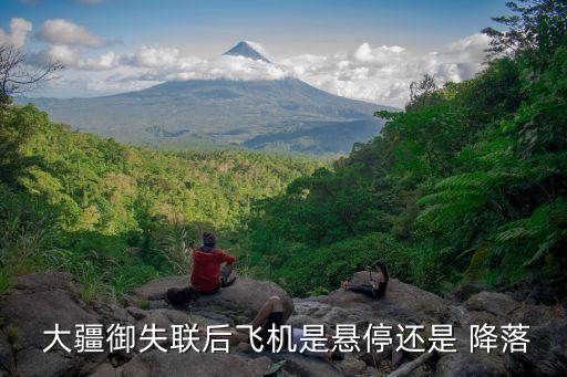 大疆無人機(jī) 自動降落,如果飛機(jī)失控可拉一次滾輪或放下三腳架