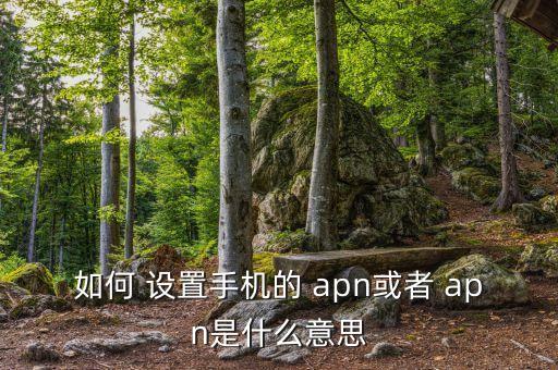 聯(lián)通自動(dòng)設(shè)置apn,聯(lián)通4gapn接入點(diǎn)要選擇3gnet