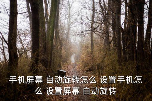 手機(jī)屏幕 自動(dòng)旋轉(zhuǎn)怎么 設(shè)置手機(jī)怎么 設(shè)置屏幕 自動(dòng)旋轉(zhuǎn)