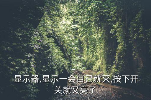  顯示器,顯示一會自己就滅,按下開關(guān)就又亮了