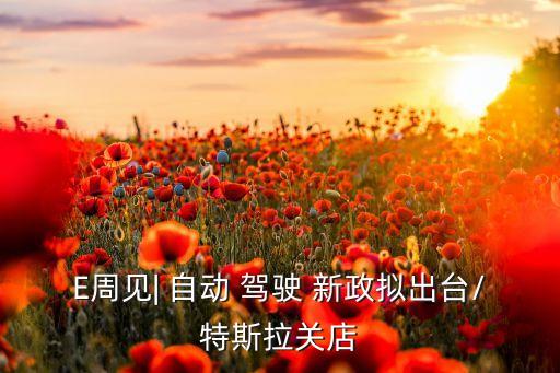 自動駕駛測試新政,本文收集了國內外資料對3駕駛標準進行評述