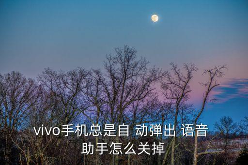Htc自動彈出語音助手,手機語音助手怎么用?