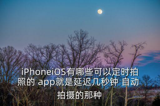 iPhoneiOS有哪些可以定時拍照的 app就是延遲幾秒鐘 自動 拍攝的那種