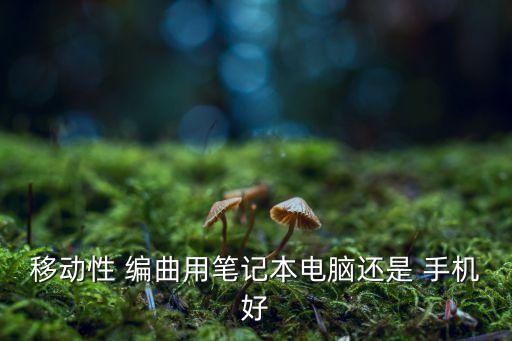 自動編曲手機,零基礎(chǔ)手機怎么用?