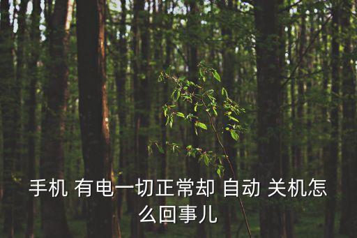 手機(jī) 有電一切正常卻 自動 關(guān)機(jī)怎么回事兒