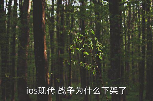 ios現(xiàn)代 戰(zhàn)爭為什么下架了