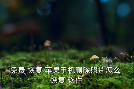 蘋(píng)果相冊(cè)自動(dòng)恢復(fù)軟件,三思而后行恢復(fù)系統(tǒng)需準(zhǔn)備一個(gè)蘋(píng)果手機(jī)