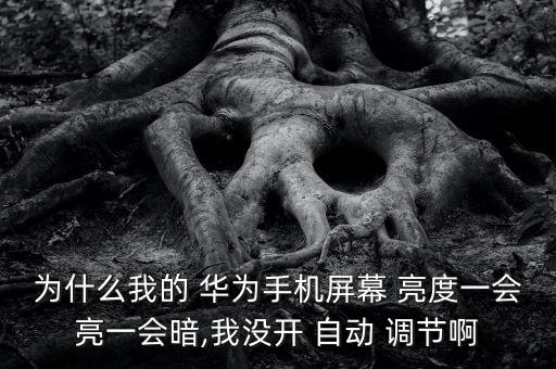 華為自動調(diào)節(jié)亮度好暗,自動亮度調(diào)節(jié)功能:視環(huán)境光線而定亮度