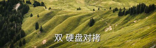 雙 硬盤對(duì)拷
