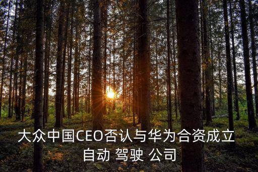 自動駕駛 公司,成都一公司成為自動駕駛解決方案提供商