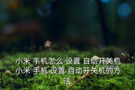  小米 手機(jī)怎么 設(shè)置 自動(dòng)開關(guān)機(jī) 小米 手機(jī) 設(shè)置 自動(dòng)開關(guān)機(jī)的方法