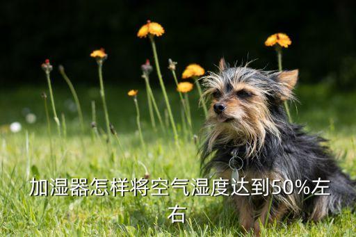  加濕器怎樣將空氣濕度達(dá)到50%左右