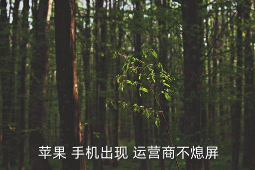 蘋果手機(jī)運(yùn)營(yíng)商自動(dòng),如何關(guān)閉iphone手機(jī)運(yùn)營(yíng)商?步驟1