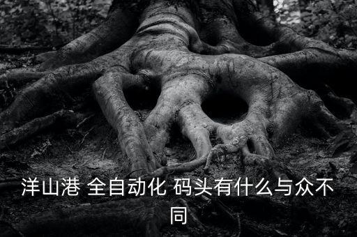 洋山港 全自動化 碼頭有什么與眾不同