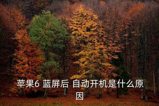  蘋果6 藍屏后 自動開機是什么原因