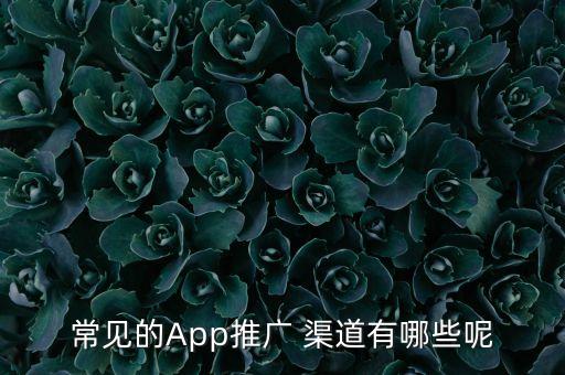 app自動生成渠道,做app需要注意什么?
