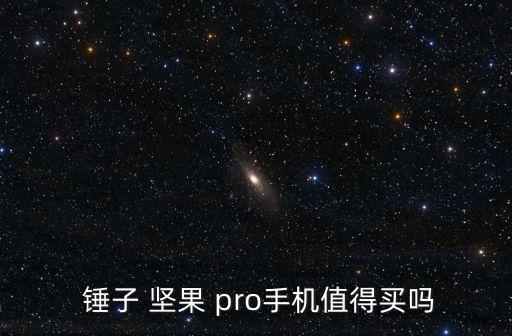  錘子 堅(jiān)果 pro手機(jī)值得買嗎