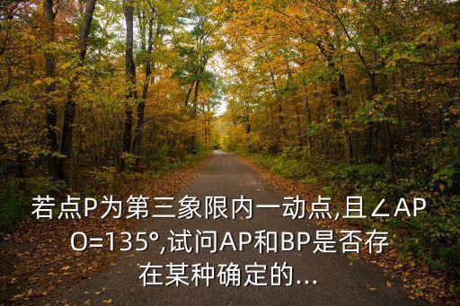 若點(diǎn)P為第三象限內(nèi)一動點(diǎn),且∠APO=135°,試問AP和BP是否存在某種確定的...