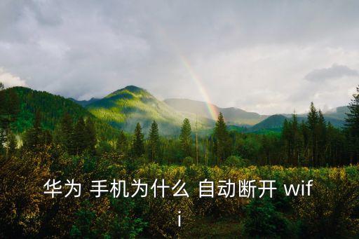 華為 手機為什么 自動斷開 wifi