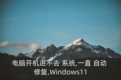 電腦開機進不去 系統(tǒng),一直 自動 修復,Windows11