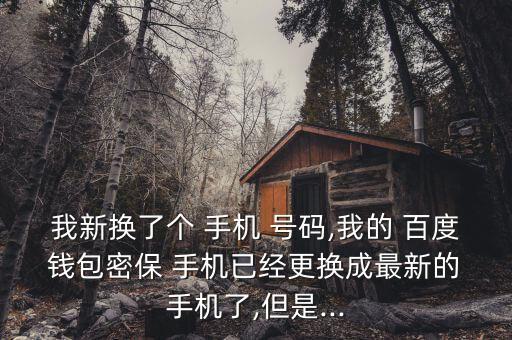我新?lián)Q了個 手機 號碼,我的 百度 錢包密保 手機已經(jīng)更換成最新的 手機了,但是...