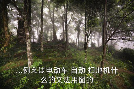 ...例えば電動車 自動 掃地機什么的文法用圖的