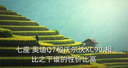 奧迪q7會(huì)自動(dòng)駕駛嗎,半-自動(dòng)駕駛功能或裝有距離探測雷達(dá)