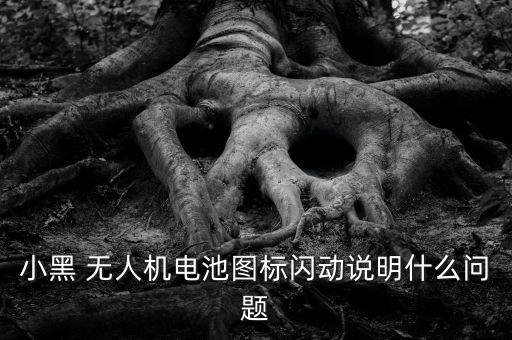 小黑 無(wú)人機(jī)電池圖標(biāo)閃動(dòng)說(shuō)明什么問(wèn)題