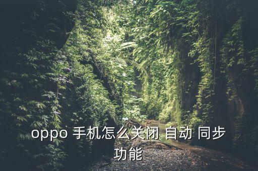 手機(jī)的自動同步關(guān)不了怎么辦,手機(jī)如何注銷自動同步?