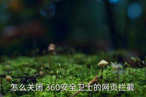 怎么關(guān)閉 360安全衛(wèi)士的網(wǎng)頁(yè)攔截
