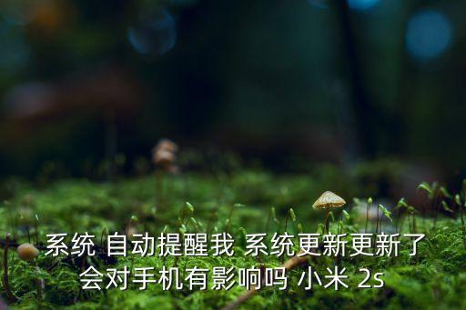  系統(tǒng) 自動(dòng)提醒我 系統(tǒng)更新更新了會(huì)對(duì)手機(jī)有影響嗎 小米 2s