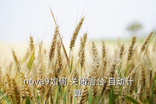  nova9如何 關(guān)閉后臺 自動計算