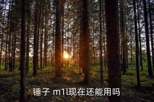 錘子 m1l現(xiàn)在還能用嗎