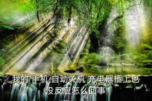 我的 手機(jī) 自動(dòng)關(guān)機(jī) 充電器插上也沒(méi)反應(yīng)怎么回事