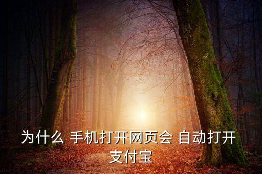 手機(jī)支付寶自動啟動,支付寶開第二種登錄方式點(diǎn)擊頭像退出