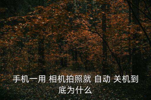 6s打開相機(jī)就自動關(guān)機(jī),手機(jī)自動關(guān)機(jī)怎么回事?