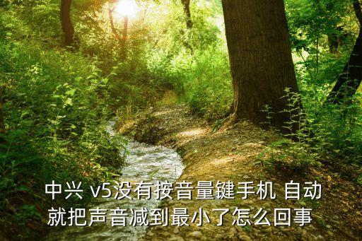  中興 v5沒有按音量鍵手機 自動就把聲音減到最小了怎么回事